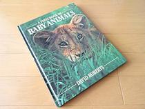 A First Book of Baby Animals