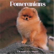 Pomeranians 2007 Wall Calendar