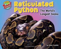Reticulated Python: The World's Longest Snake (Supersized!)
