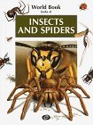 Insects & Spiders (Looks at Series)