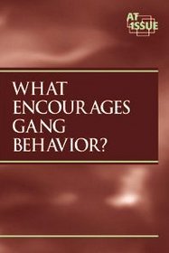 What encourages Gang Behavior? (At Issue Series)