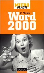 Micro flash - Word 2000