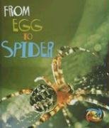 From Egg to Spider (Heinemann First Library)