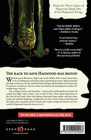 Dark Waters of Hagwood (The Hagwood Trilogy)