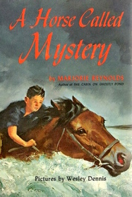 Horse Called Mystery