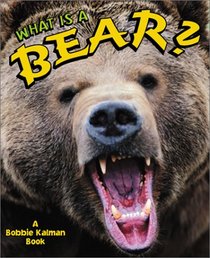 What is a Bear? (The Science of Living Things)