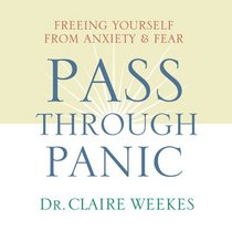 Pass Through Panic : Freeing Yourself from Anxiety and Fear