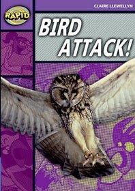 Bird Attack!: Series 2 Stage 1 Level B (Rapid)