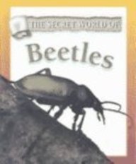 Beetles (The Secret World of)