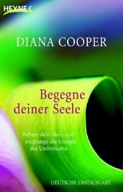 Begegne deiner Seele