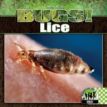 Lice (Bugs!)