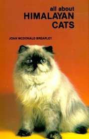 All About Himalayan Cats