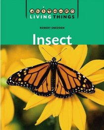 Insects (Living Things)