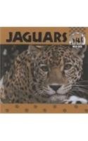 Jaguars (Wild Cats)