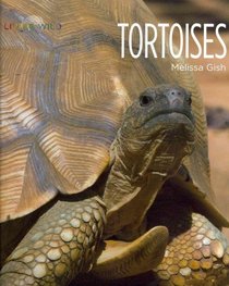 Tortoises (Living Wild)
