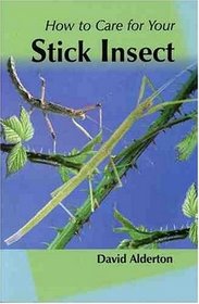 How to Care for Your Stick Insect (Your first...series)