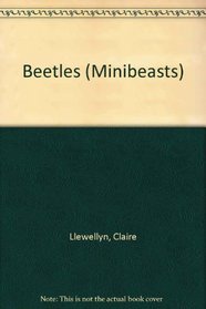 Beetles (Minibeasts)