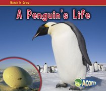 A Penguin's Life (Acorn)