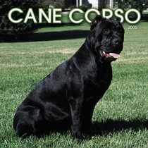 Cane Corso 2005 Wall Calendar