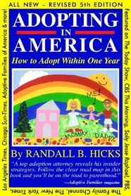 Adopting in America: How To Adopt Within One Year