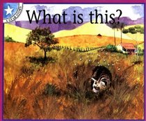 What is This?: Gr 1: Reader Level 2 (Star Stories)