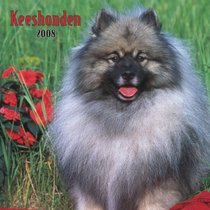 Keeshonden 2008 Square Wall Calendar (German, French, Spanish and English Edition)