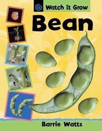 Bean (Watch It Grow)