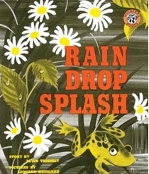 Rain Drop Splash