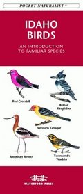 Idaho Birds: An Introduction to Familiar Species (Pocket Naturalist)