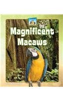 Magnificent Macaws (Unusual Pets)