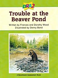 Trouble At the Beaver Pond