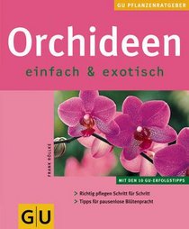 Orchideen. So gedeihen und blühen sie am besten