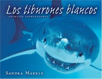 Los Tiburones Blancos/great White Sharks (Animales Depredadores/Animal Predators)