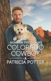 Colorado Cowboy (Home to Covenant Falls, Bk 6) (Home on the Ranch)