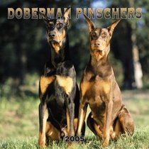 Doberman Pinschers 2005 Wall Calendar