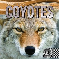 Coyotes (Animal Icons)