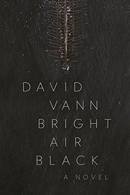Bright Air Black: A Novel