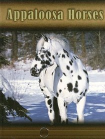 Appaloosa Horses (Eye to Eye With Horses)