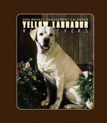 Yellow Labrador Retrievers 2005 Weekly Engagement Calendar