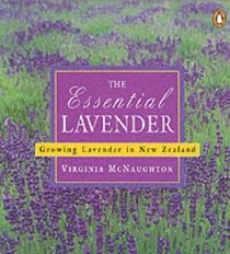 Essential Lavender: Growing Lavender in New Zealand