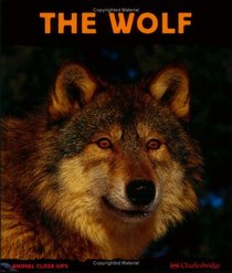 The Wolf: Night Howler (Animal Close-Ups) (Animal Close-Ups)