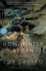 How Winter Began: Stories (Flyover Fiction)