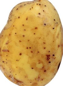 Potatoes: 50 Easy Recipes