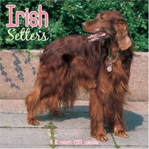 Irish Setters 2007 Wall Calendar