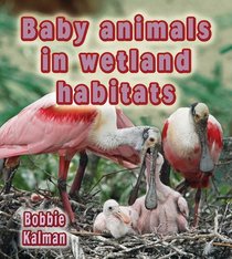 Baby Animals in Wetland Habitats (Habitats of Baby Animals)