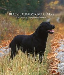 Black Labrador Retrievers 2007 Weekly Calendar