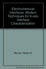 Electrochemical Interfaces: Modern Techniques for In-situ Interface Characterization