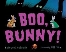 Boo, Bunny! board book