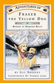 Adventures of Fraser the Yellow Dog Rescue at Maroon Bells