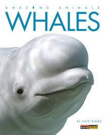 Amazing Animals: Whales